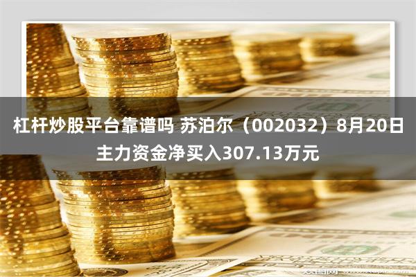 杠杆炒股平台靠谱吗 苏泊尔（002032）8月20日主力资金净买入307.13万元