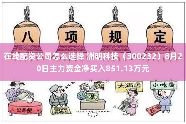 在线配资公司怎么选择 洲明科技（300232）8月20日主力资金净买入851.13万元