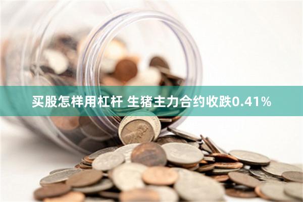 买股怎样用杠杆 生猪主力合约收跌0.41%