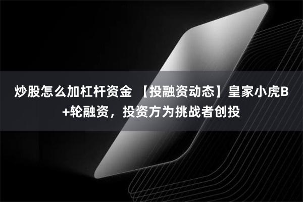 炒股怎么加杠杆资金 【投融资动态】皇家小虎B+轮融资，投资方为挑战者创投