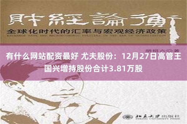 有什么网站配资最好 尤夫股份：12月27日高管王国兴增持股份合计3.81万股