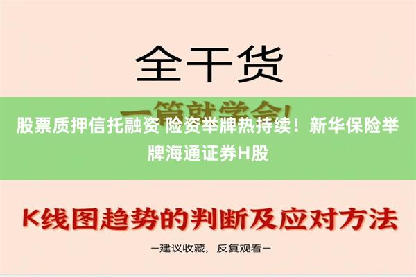 股票质押信托融资 险资举牌热持续！新华保险举牌海通证券H股