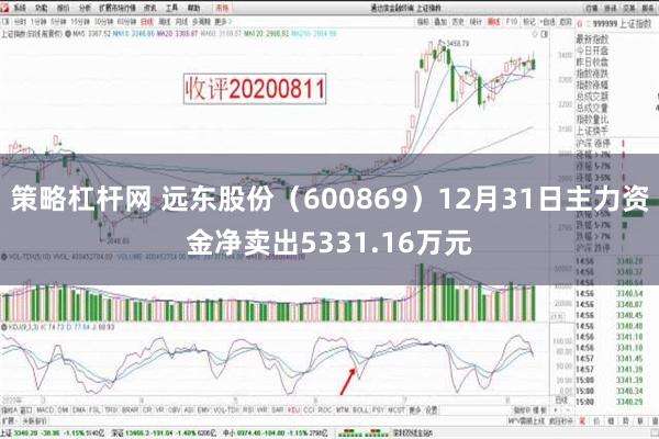 策略杠杆网 远东股份（600869）12月31日主力资金净卖出5331.16万元