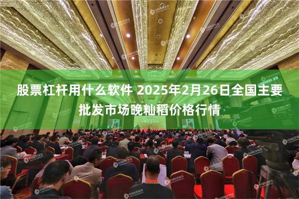 股票杠杆用什么软件 2025年2月26日全国主要批发市场晚籼稻价格行情